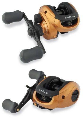 Обзор Shimano Caius Shimano Caius. Характеристики, обзоры модели